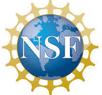 nsf logo